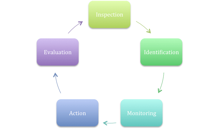 Process of IPM