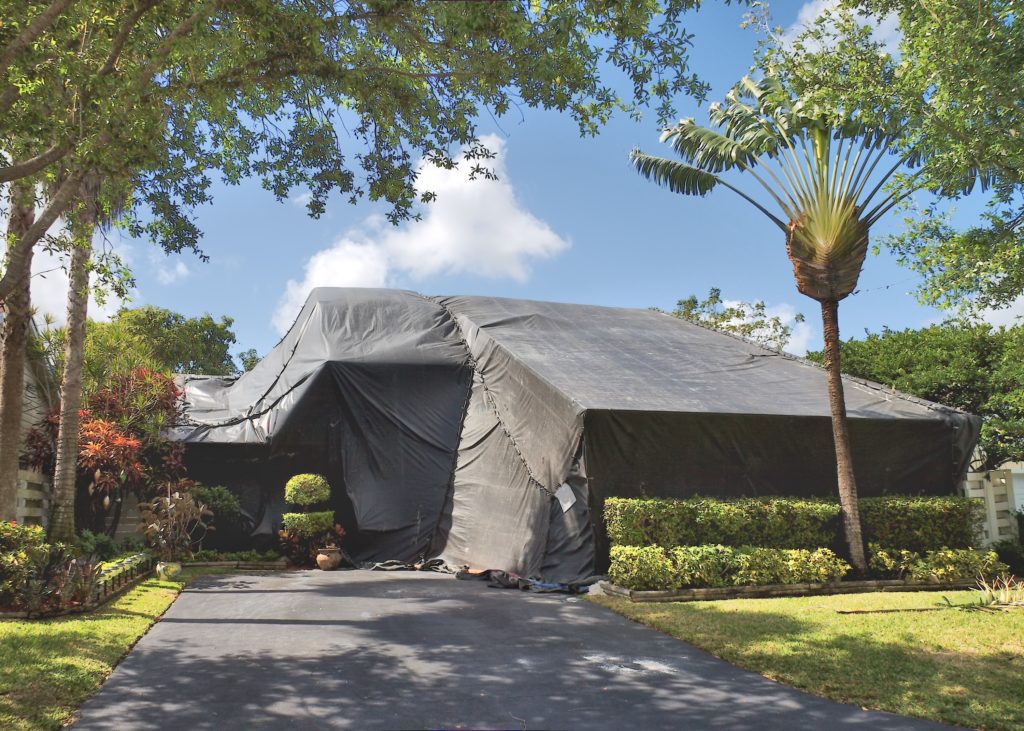 Tent fumigation can happen for a home if the pest situation is out of control.