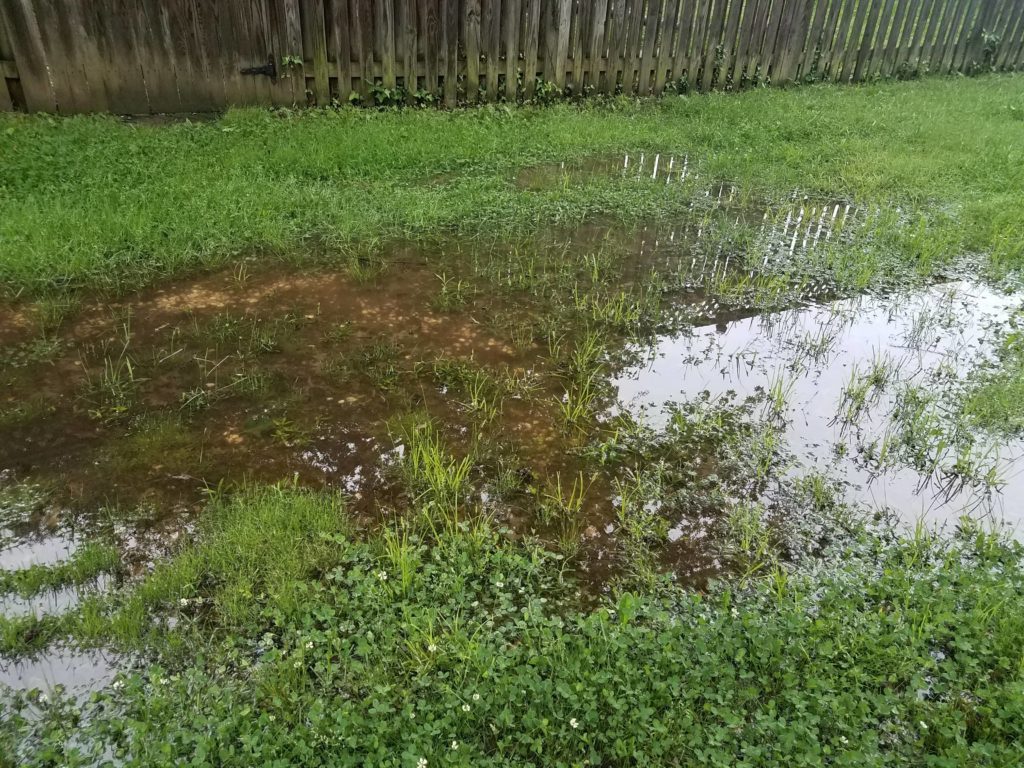 Standing water attracts mosquitoes. Yard needs to have better drainage.