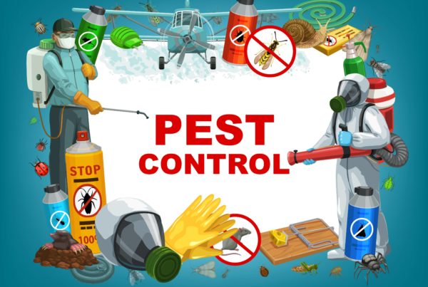 Pest Control