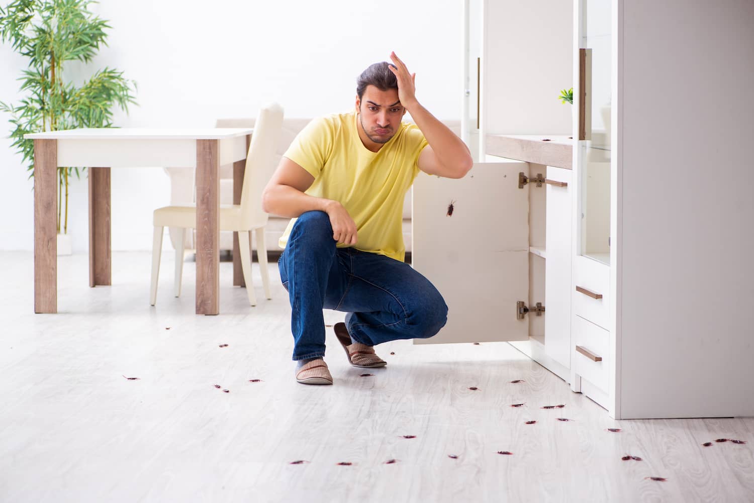 General Household Pest Treatment in Melbourne FL