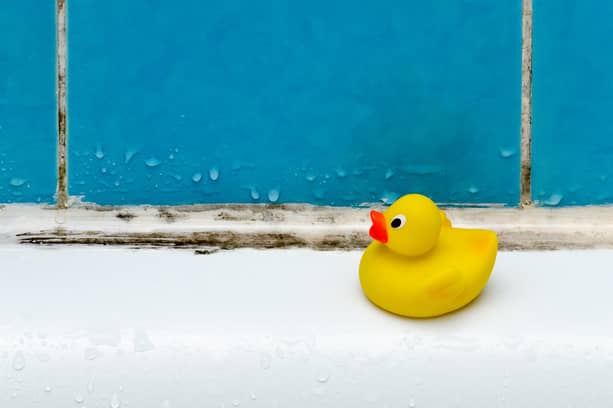 Mold on the grout of the shower can be common in Florida.