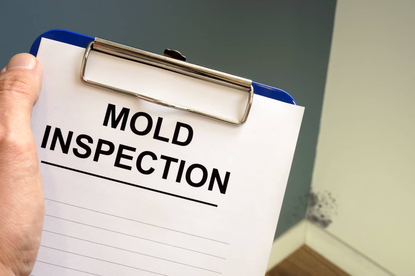 Get a mold inspection.