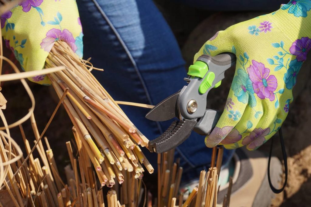 Pruning the ornamental grass when it is brown is easy to do when it is dormant.