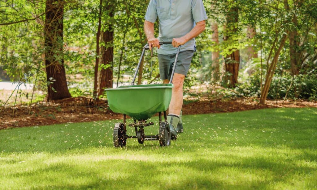 A fertilizer spreader ensures the lawn will stay plush and healthy.