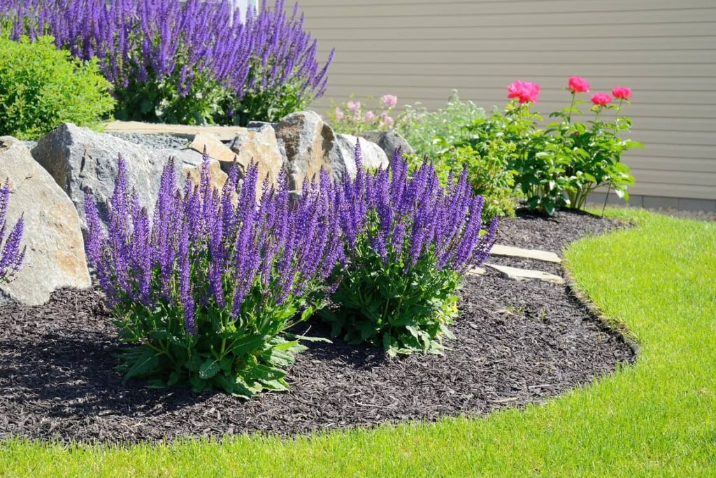 Use mulch for increased nutrients and sustainability.