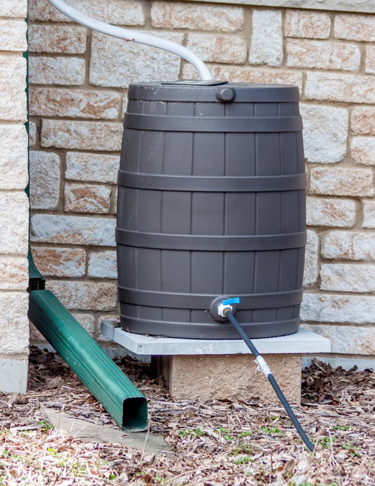 A rain barrel is one way to handle roof runoff.