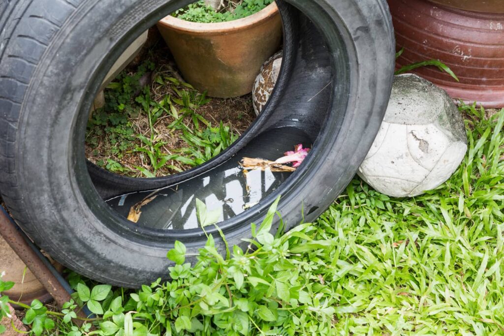 Standing water can attract not only termites but also other pests. 