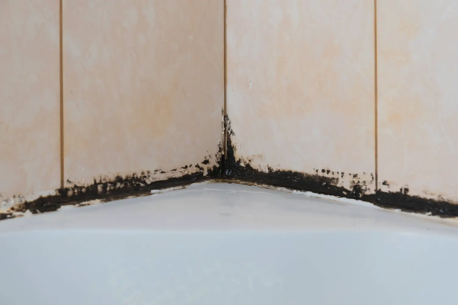 How Dangerous Is Shower Mold At Felicia Julian Blog How Dangerous Is Shower Mold At Felicia Julian Blog