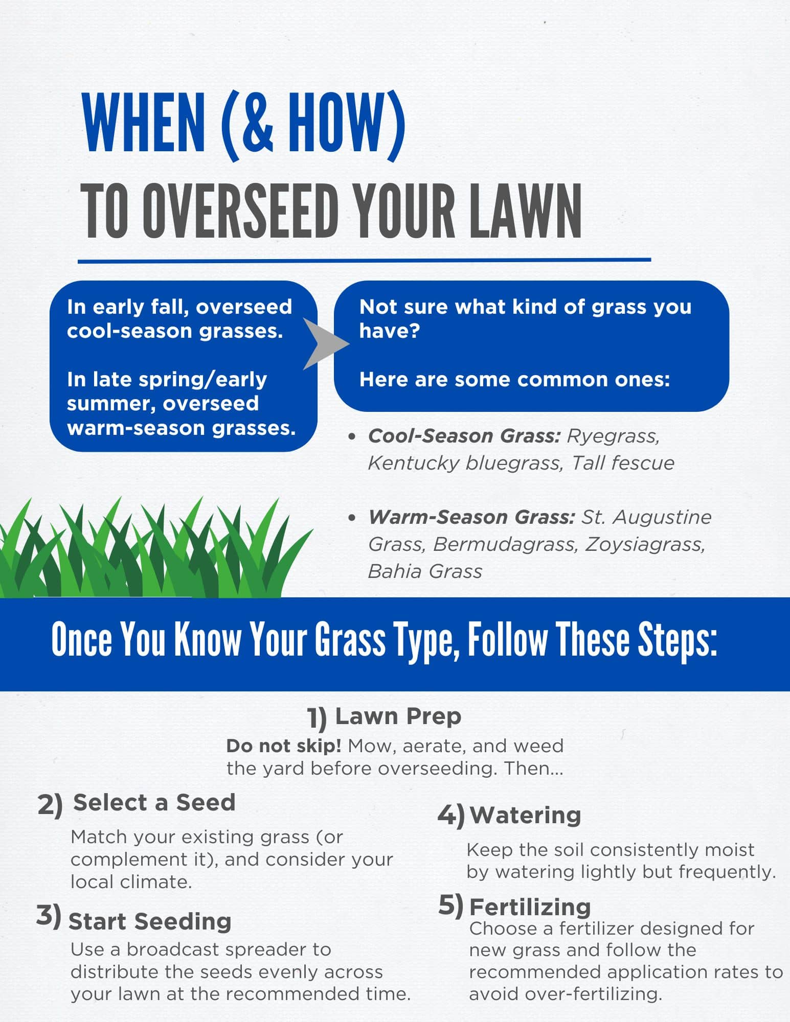 When, Why, and How to Overseed Your Lawn Honor Services