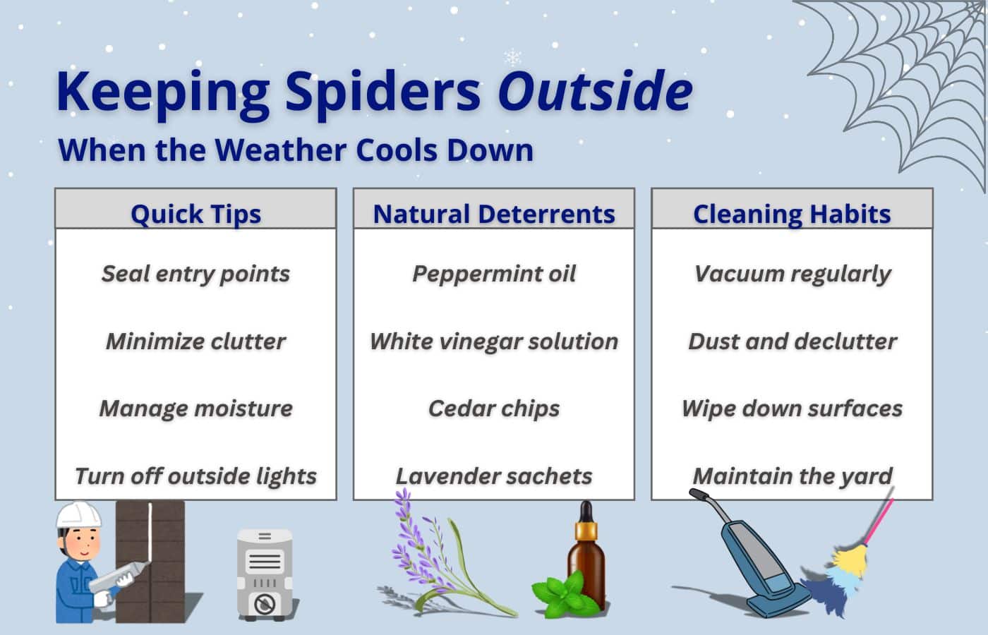 How to Keep Spiders Out of the House in Colder Months Honor Services