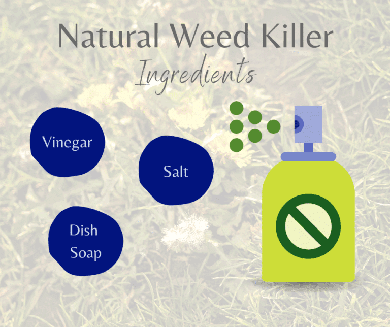 Natural Weed Killer Recipe That Actually Works - Honor Services