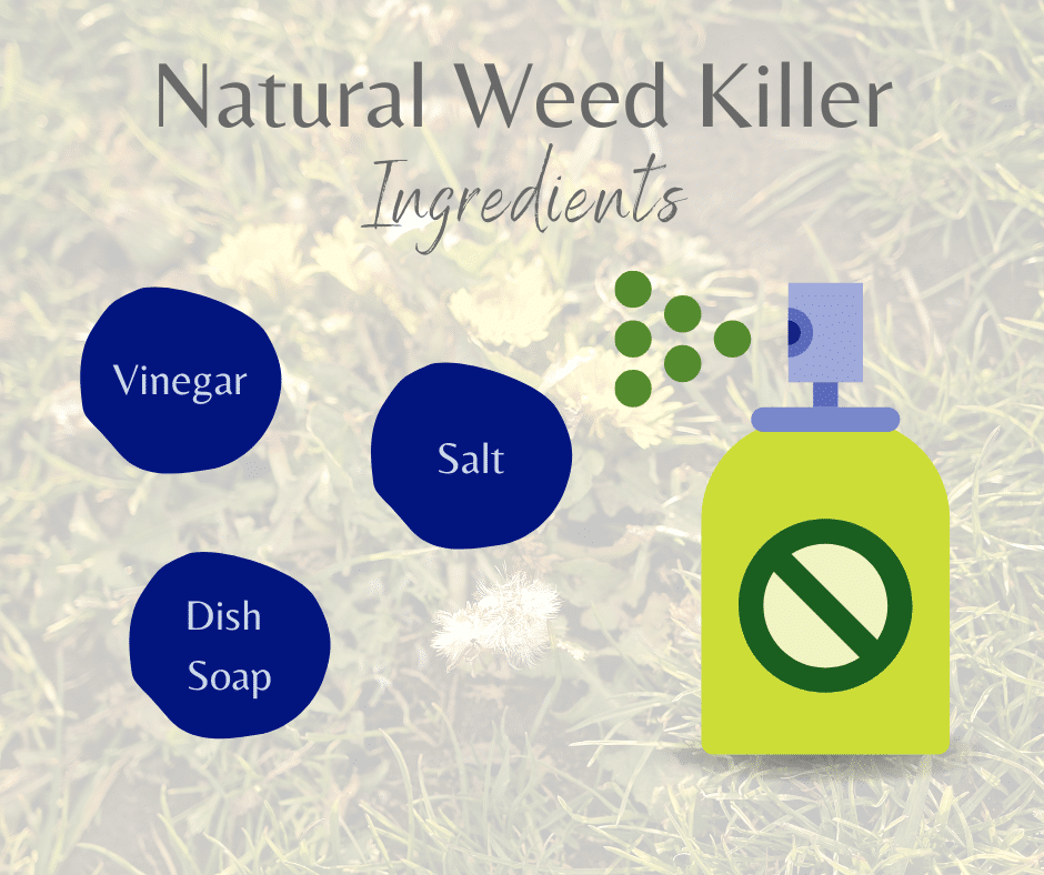 Natural Weed Killer Ingrediants