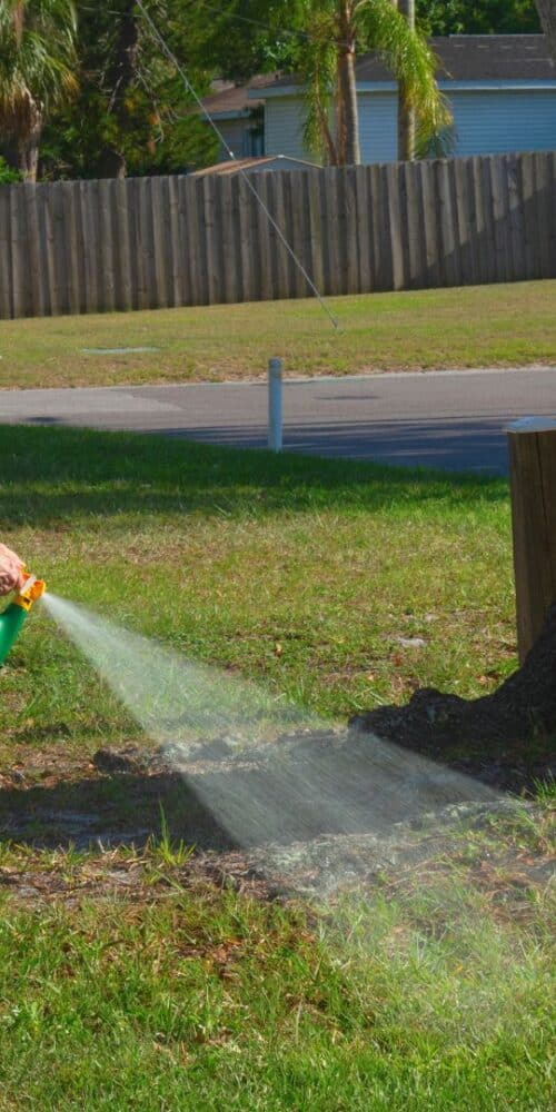 natural weed killer recipe