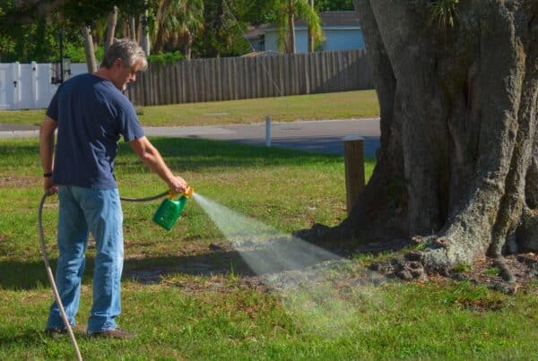natural weed killer recipe