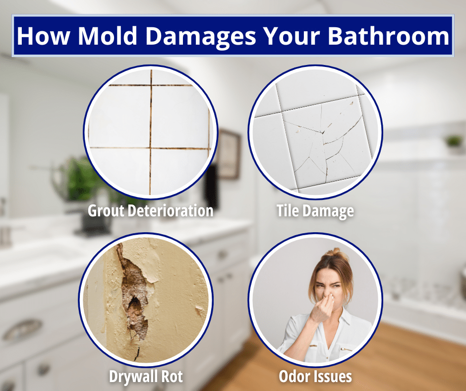 how mold damages bathrooms