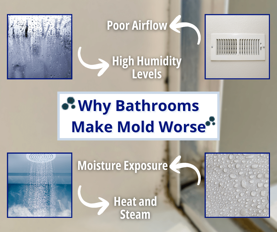 why bathrooms made mold worse