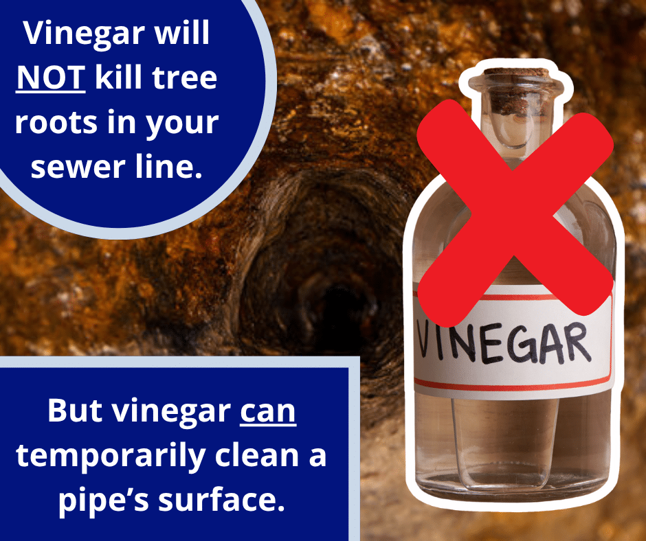 role of vinegar and sewer pipes