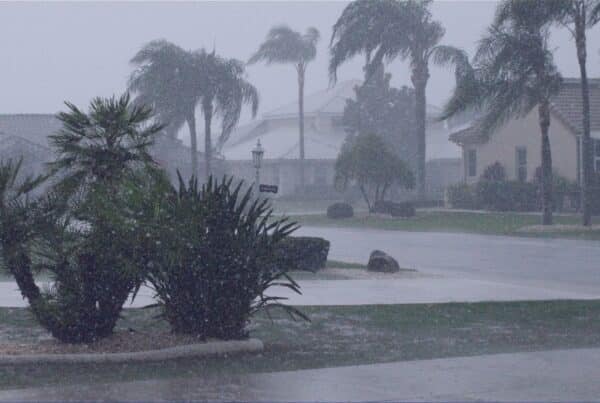 hurricane winds in florida