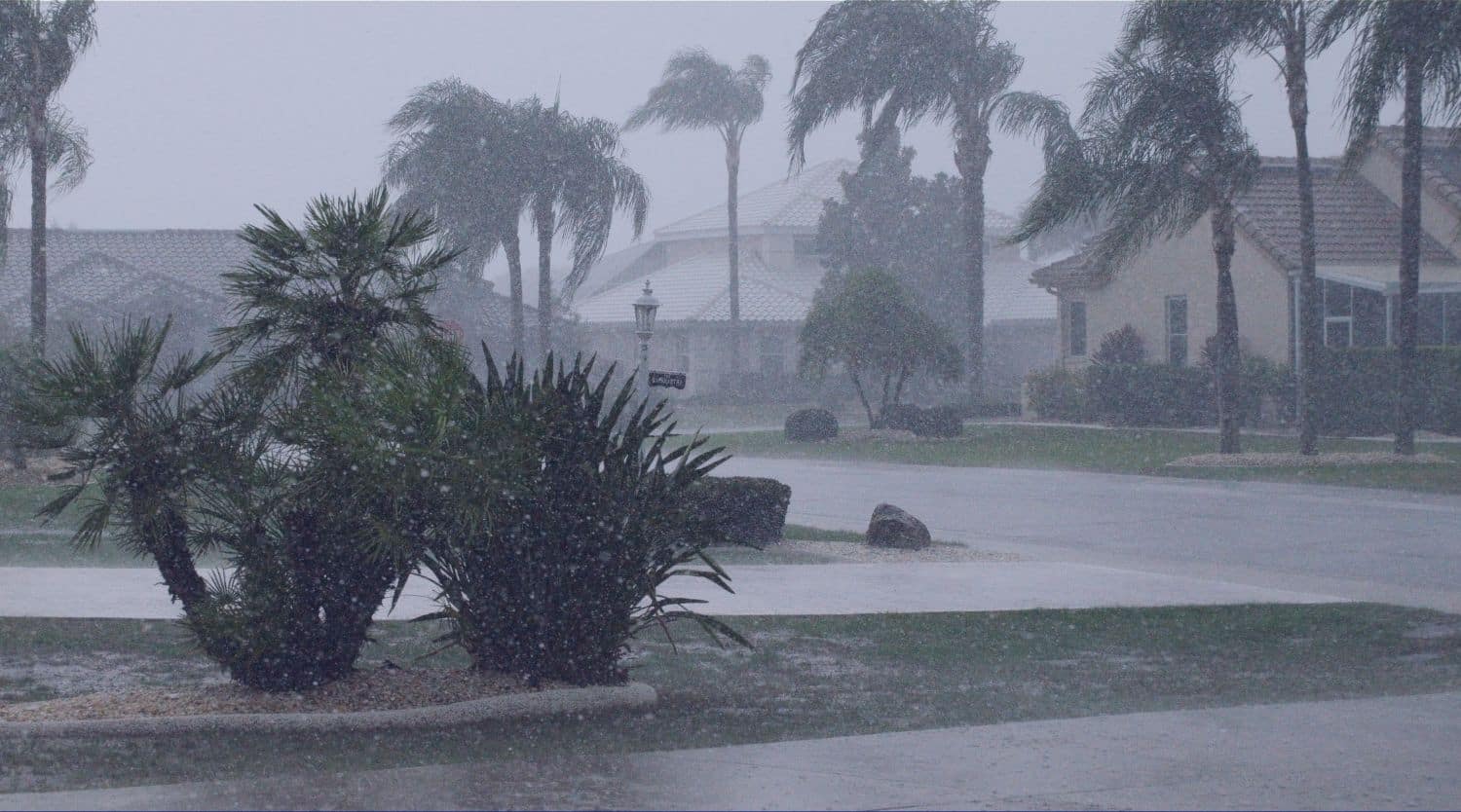 hurricane winds in florida