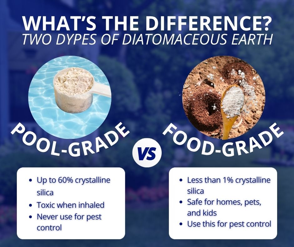 Food-grade vs pool-grade diatomaceous earth comparison for ant control