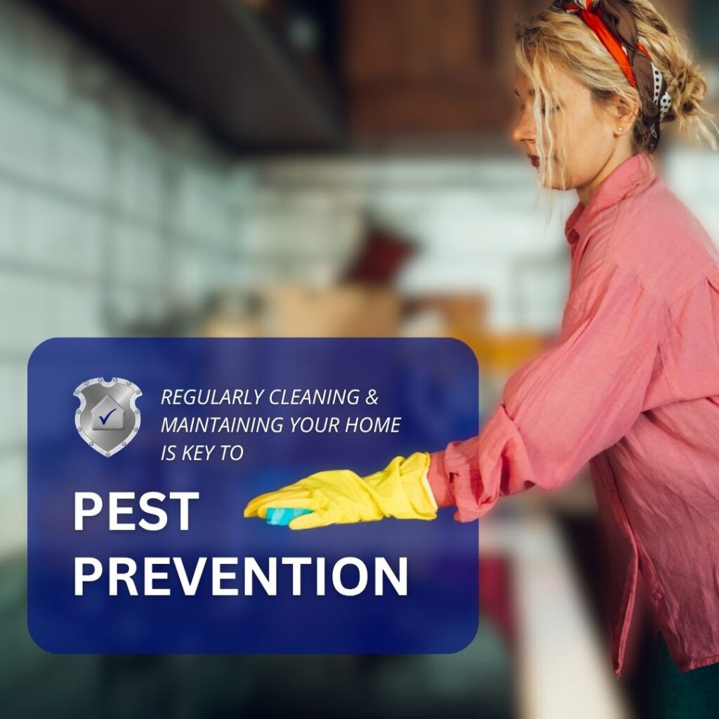 A woman in yellow gloves cleaning a surface next to a text box reading, "Regularly cleaning & maintaining your home is key to pest prevention