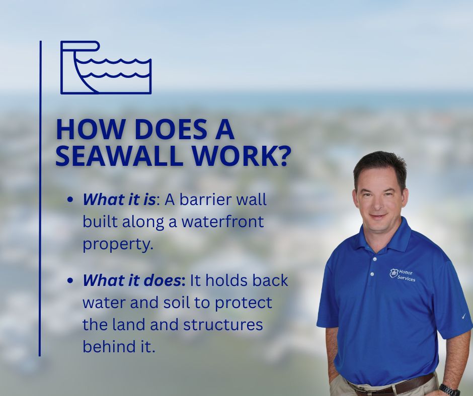 An infographic titled "How Does a Seawall Work?" explaining that a seawall is a barrier wall that holds back water and soil to protect waterfront land and structures.