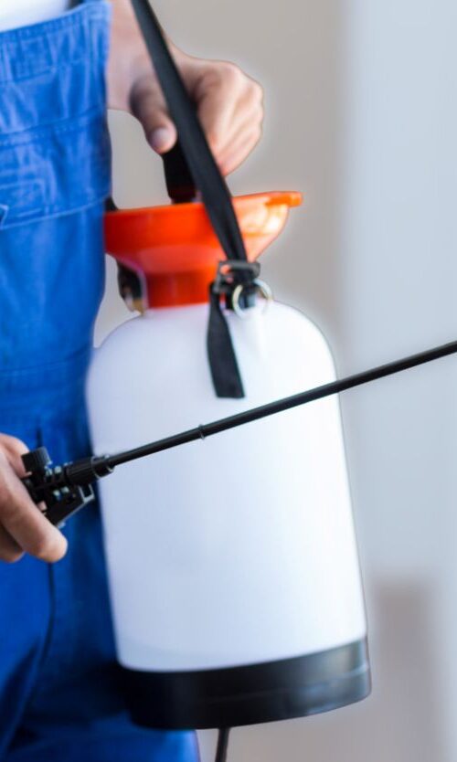 A person wearing blue overalls holding a white pump pressure sprayer tank and wand.