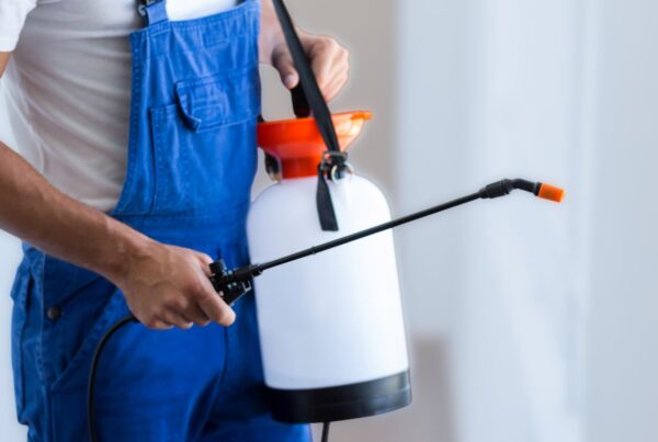 A person wearing blue overalls holding a white pump pressure sprayer tank and wand.