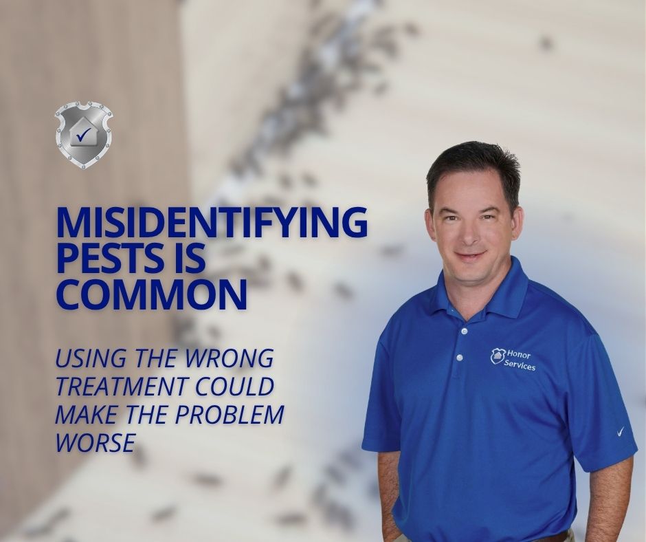 A pest control technician next to text reading, "Misidentifying pests is common: Using the wrong treatment could make the problem worse."